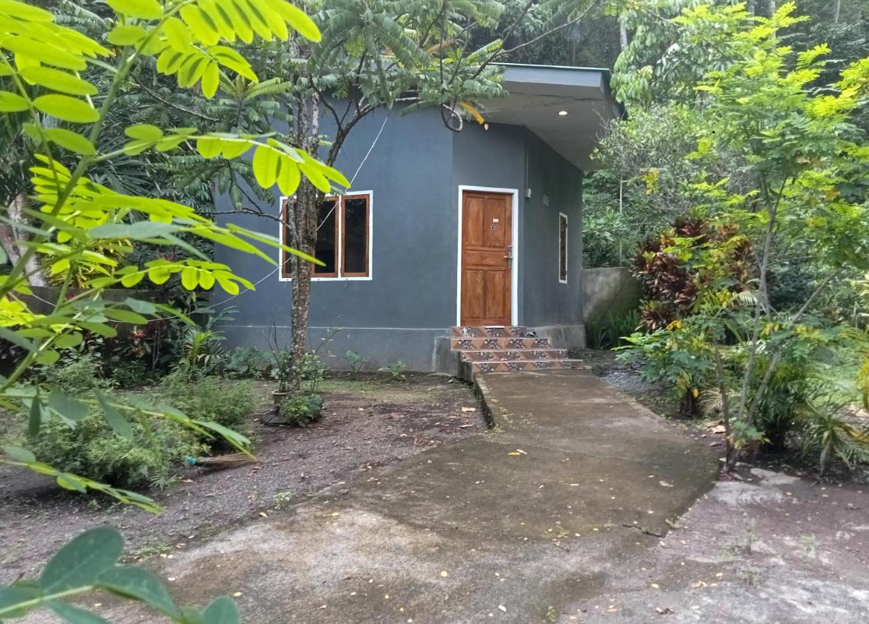 Tangkoko Ranger Homestay Bitung Esterno foto