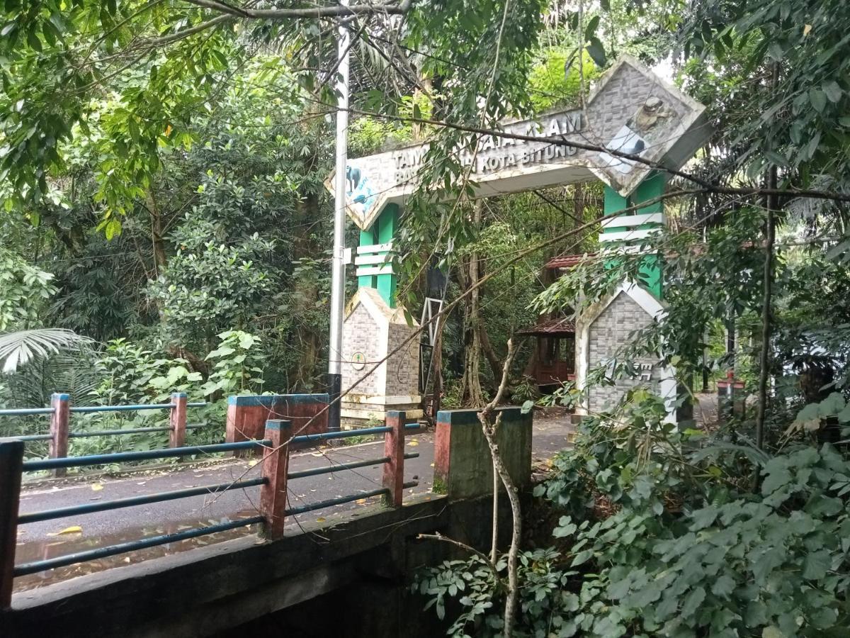 Tangkoko Ranger Homestay Bitung Esterno foto