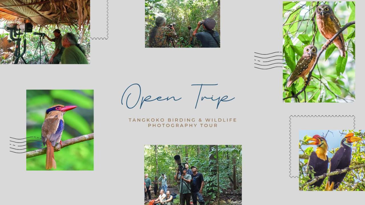 Tangkoko Ranger Homestay Bitung Esterno foto